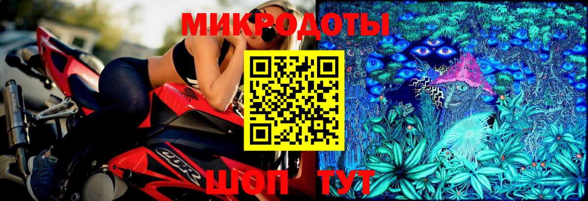 Псилоцибиновые грибы Cubensis Междуреченск